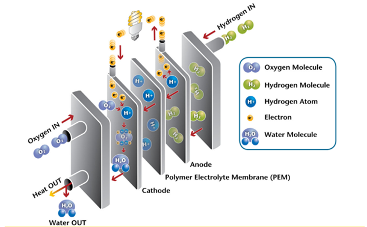 Understanding Hydrogen Fuel Cell Technology